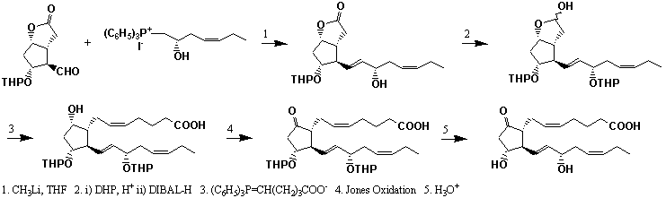 File:XPR1402FT0001.gif
