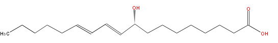 LBF18206HO02.png