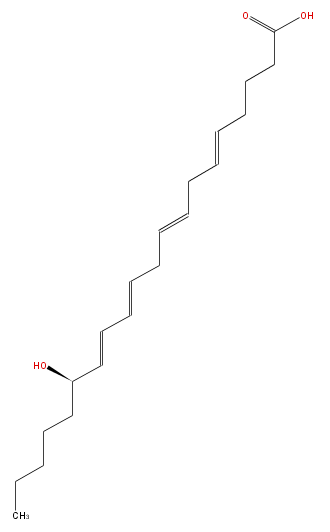 LBF20407HO05.png