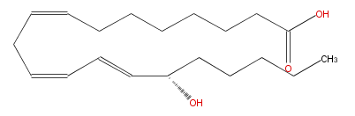 LBF20307HO01.png