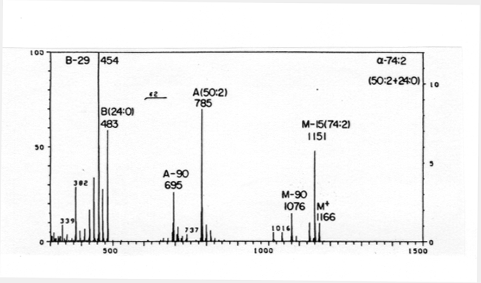 File:MMA0013SP0003.gif