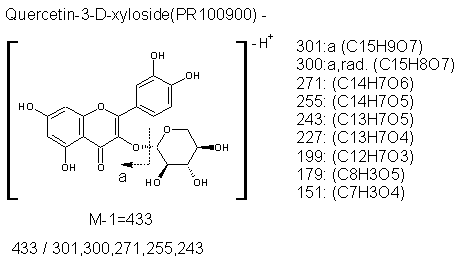 Fragmentation:PR100900n.png