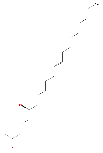 LBF20406HO20.png