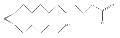 LBF19000XX01.png