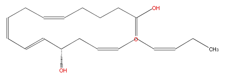 LBF20503HO07.png