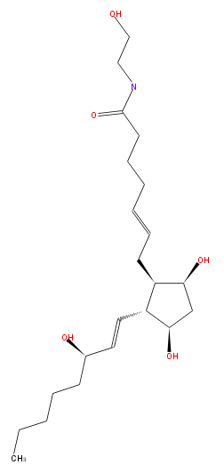 LBF22307PG05.png