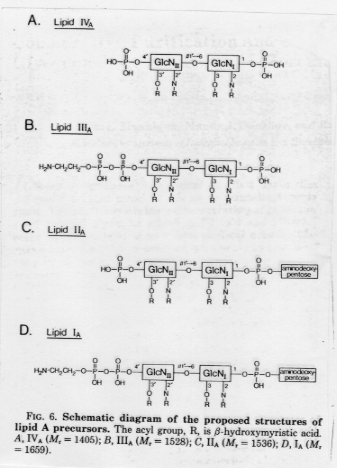File:CLS1822FT0078.gif
