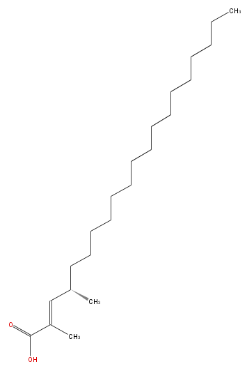 LBF20118BC01.png
