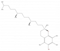LBPR02020010.png