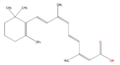 LBPR01040031.png