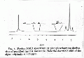 CLS1721SP0059.gif