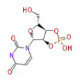 Thumbnail for version as of 18:10, 17 June 2010