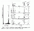 CLS1311SP0033.gif