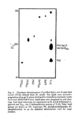 EEL0025CH0008.gif