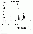 WWA2101SP0023.gif