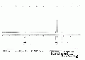 WWA4101SP0046.gif