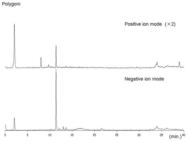 File:Polygoni LC-MS.jpg