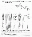 CLS0411FT0012.gif