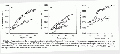 CLS1811FT0063.gif