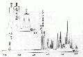GSG1013SP0001.gif