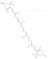 LBPR01070013.png