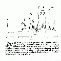 EEL0006SP0003.gif