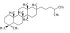 SP4B.png