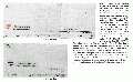 GSG1028CH0001.gif