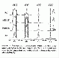 PGP2404SP0001.gif