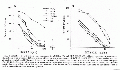 CLS1731FT0059.gif