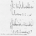 CLS0611SP0030.gif
