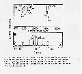 EEL3038SP0028.gif