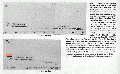 GSG1029CH0001.gif