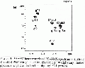 EEL0250SP0063.gif