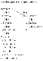 VCA1012FT1032.gif