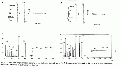 CLS0241SP0013.gif