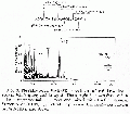 GSG1018SP0003.gif
