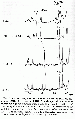GSG1265SP0002.gif