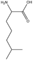 Thumbnail for version as of 11:40, 13 May 2008