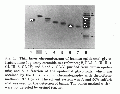 GSG1024CH0001.gif