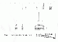 WWA1201SP0007.gif