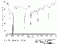 WWA2101SP0021.gif