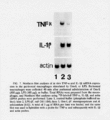 ALA0002FT0006.gif