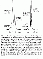 PGP2410SP0003.gif