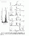 CLS1313SP0035.gif