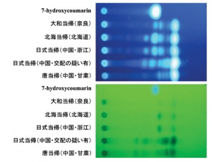 TLCによる成分組成の比較