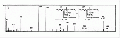 MMA0055SP0010.gif