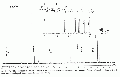 GSG1147SP0001.gif