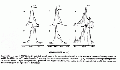 PGP2412SP0001.gif