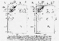 CLS1822SP0080.gif